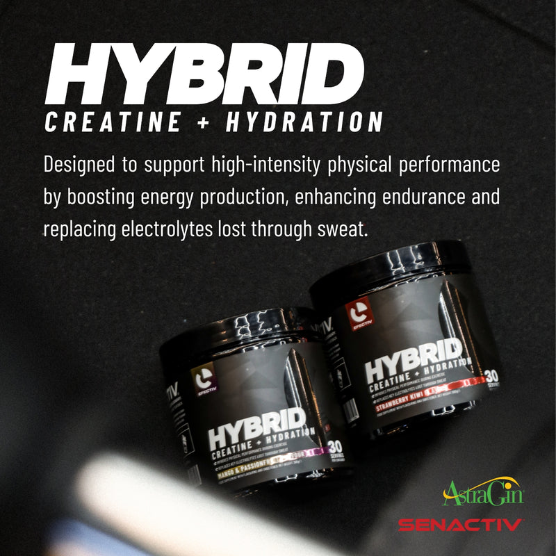 EFECTIV Hybrid Creatine + Hydration 300g